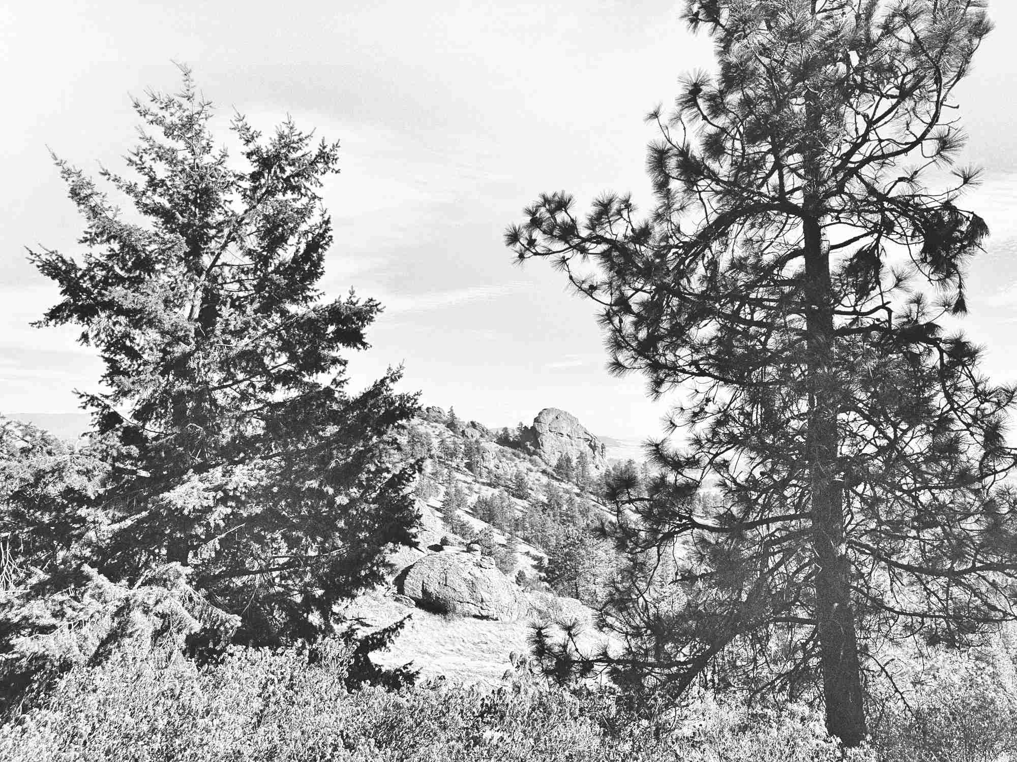 Krell Hill W7W/WE-021